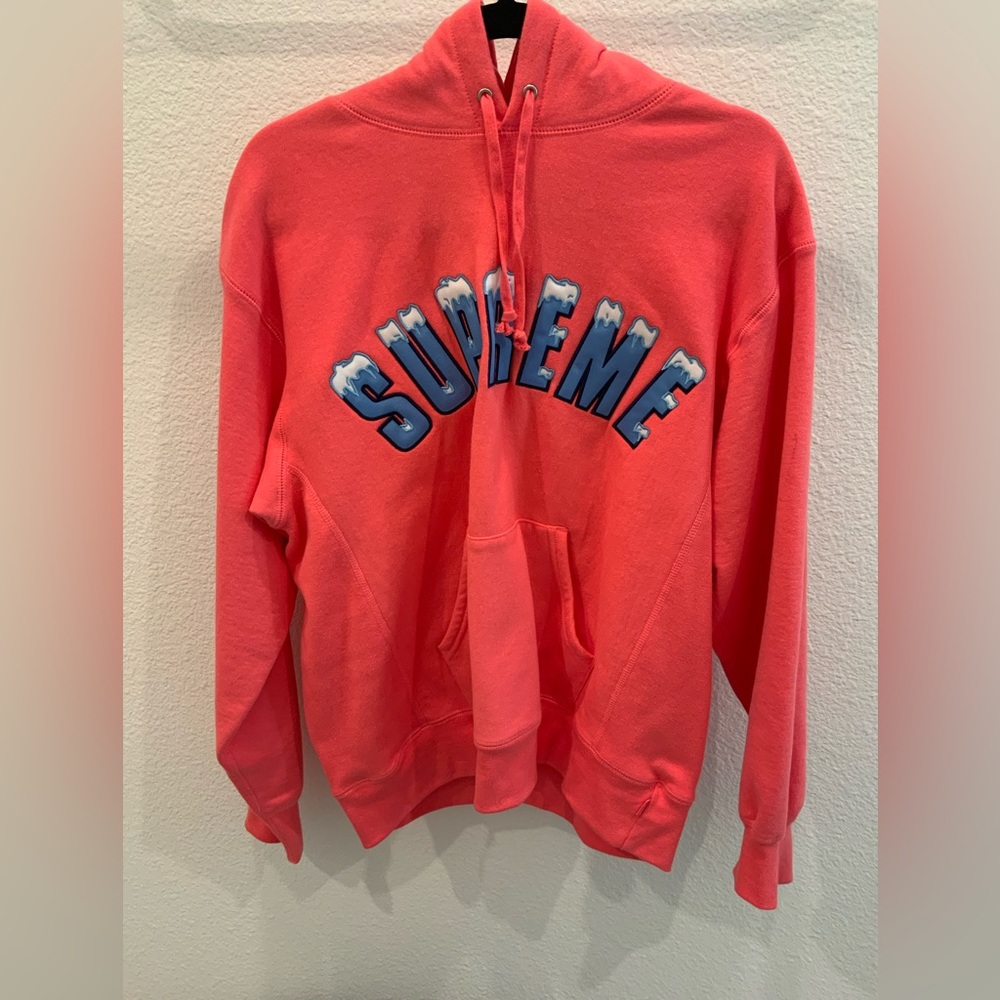 Supreme Icy Arc Hooded Sweatshirt